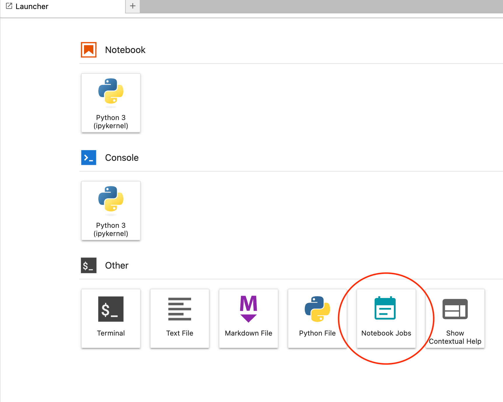 Screen shot of JupyterLab launcher showing “Notebook Jobs” button in the “Other” section