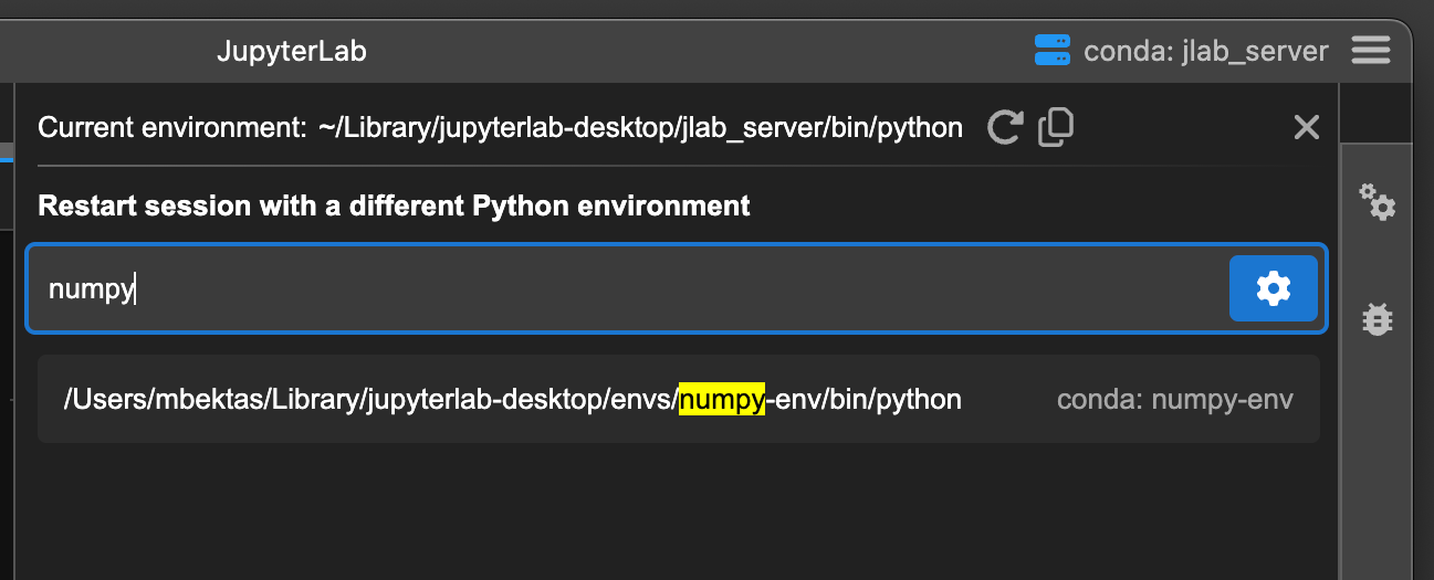 Filter Python environments